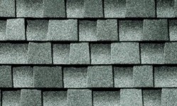 Repair my shingle roof